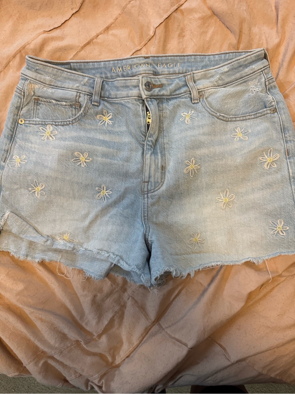 American Eagle Outfitters Light Blue Daisy Embroidered Jean Shorts